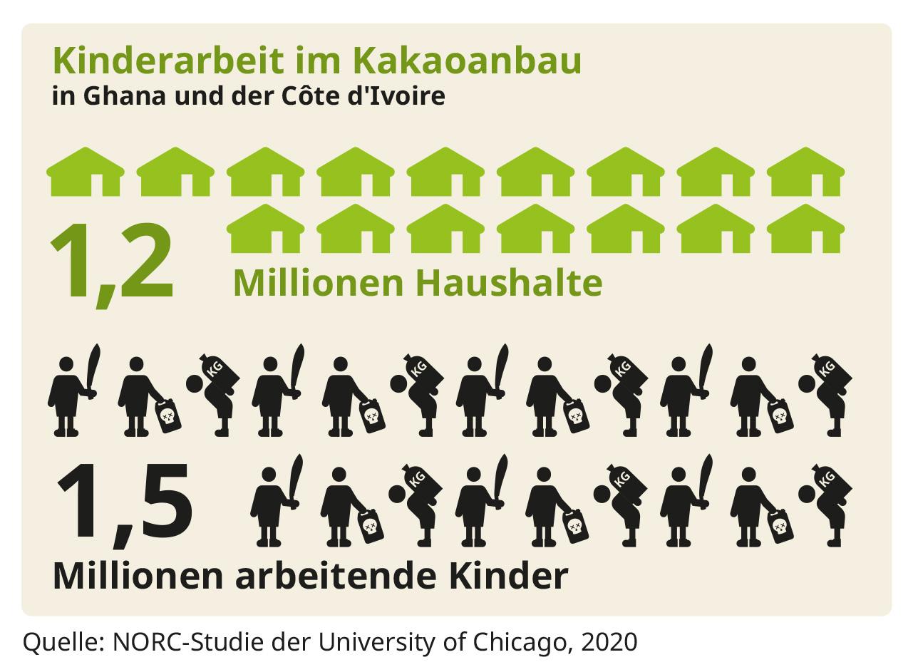 Anteil an Kinderarbeit im Kakaoanbau (Ghana und Côte d'Ivoire), 2024